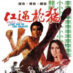 Movies You Would Like to Watch If You Like the Way of the Dragon (1972)